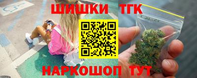 крисы Камышлов