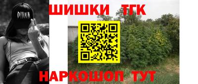 крисы Камышлов