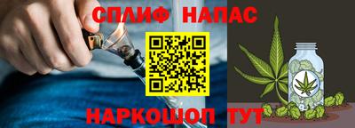 крисы Камышлов
