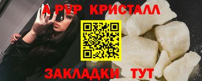 крисы Камышлов