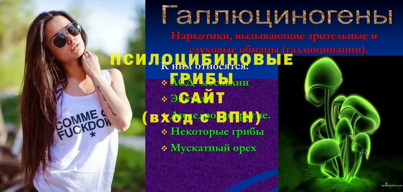 Галлюциногенные грибы Cubensis  Норильск 