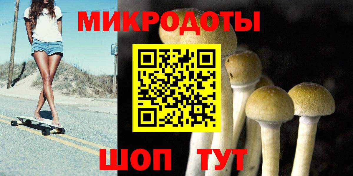 Норильск  Псилоцибиновые грибы MAGIC MUSHROOMS  цена наркотик  Вход с VPN 
