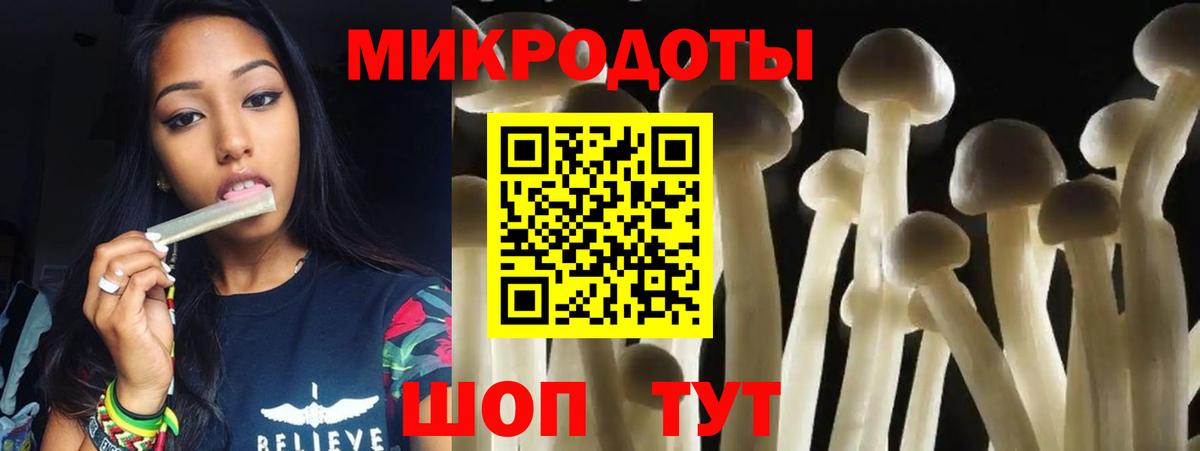 Псилоцибиновые грибы Cubensis Норильск