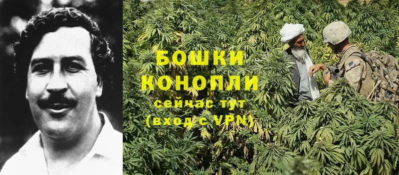 купить   Норильск  Каннабис SATIVA & INDICA 